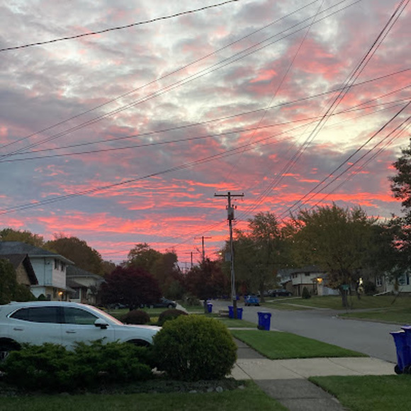 Meet your Posher, Isabel - Picture 1 of 1